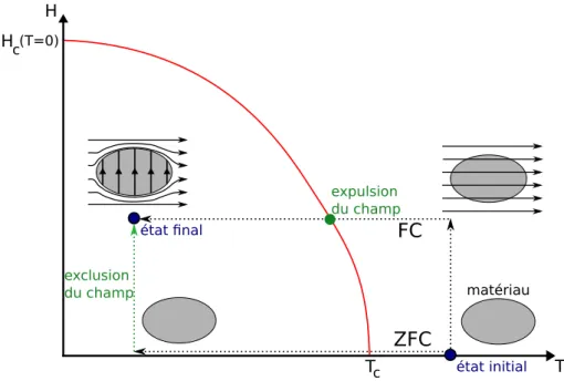 Figure 1.1  Refroidissement d'un matériau en l'absence (ZFC) et en présence (FC) d'un champ magnétique extérieur H~ 