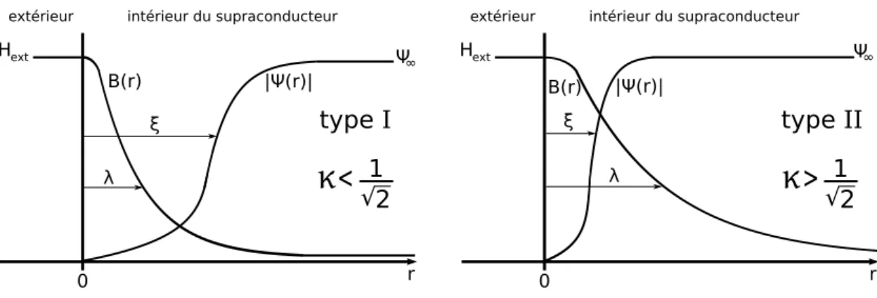 Figure 1.2  Comparaison du champ magnétique B(r) et du module du paramètre d'ordre |ψ(r)|