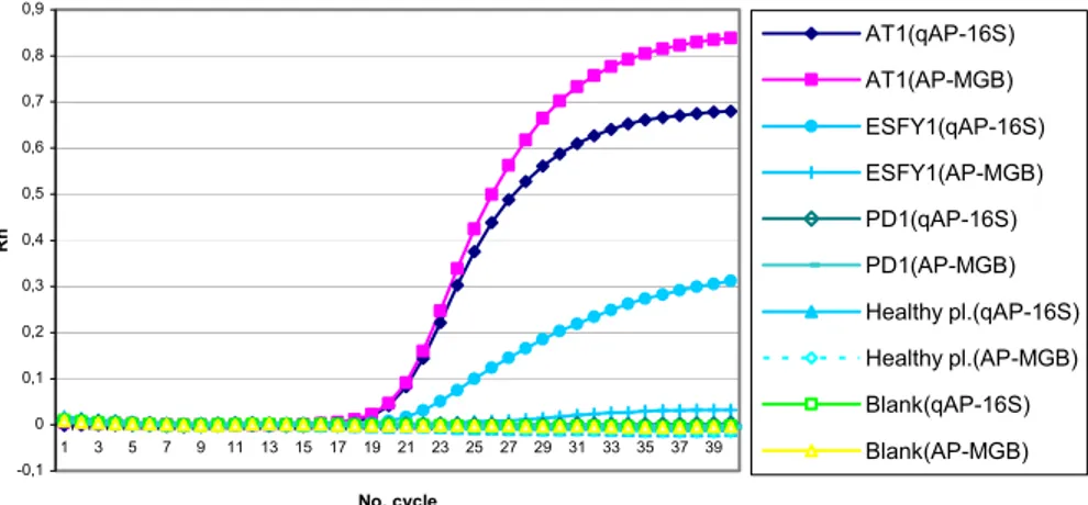 Table 2. List of different primers and probes used for detection of phytoplasmas. 