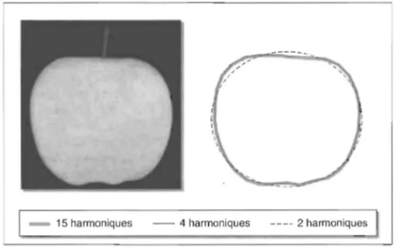 Figure 10. Reconstruction de l'image de la pomme, à partir de 2, 4 ou 15 harmoniques.