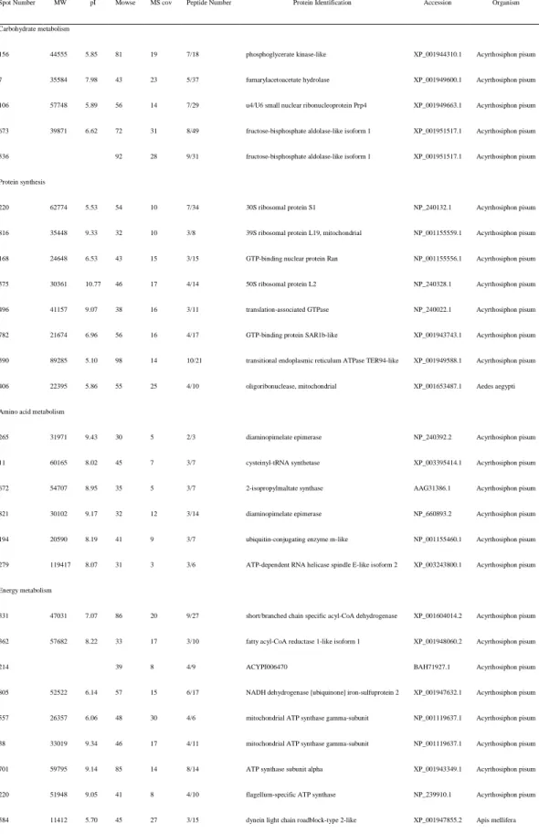 Table 4 A list of identified proteins and related metabolic pathways in S. avenae  aphids that differ in abundance between two treatment groups 