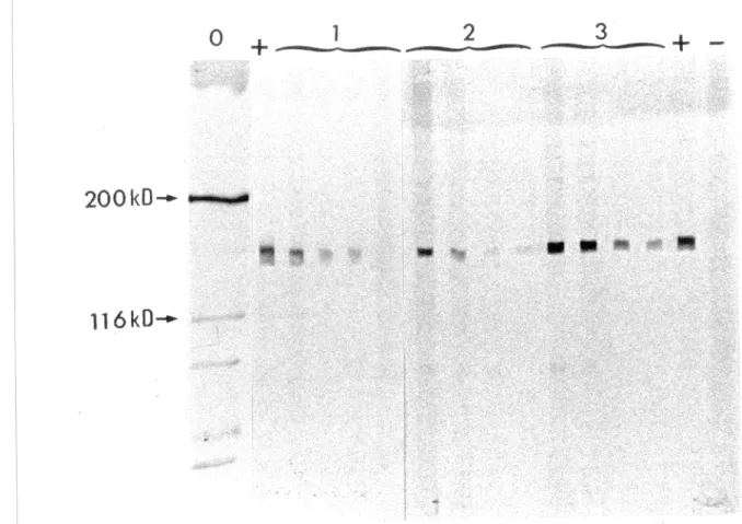 Illustration  de  la  figure  3 