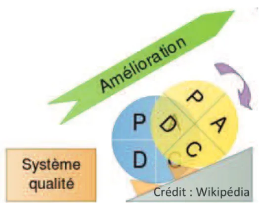 Figure 6 - La roue de Deming 