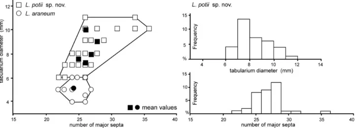 Figure 15. A – scatter diagram showing the number of septa plotted against tabularium diameter for Lithostrotion potii sp