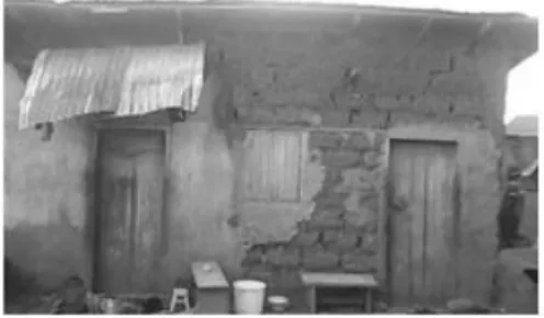 Figure 3 - Example of traditional habitat . 