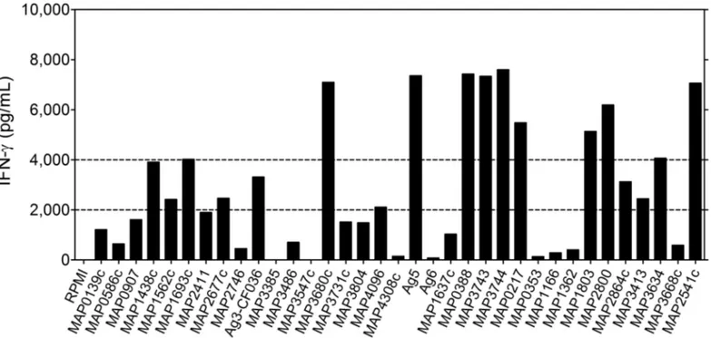 Fig 4. IFN-γ response of BALB/c mice infected intranasally with porcine MST12 isolate (Po12)