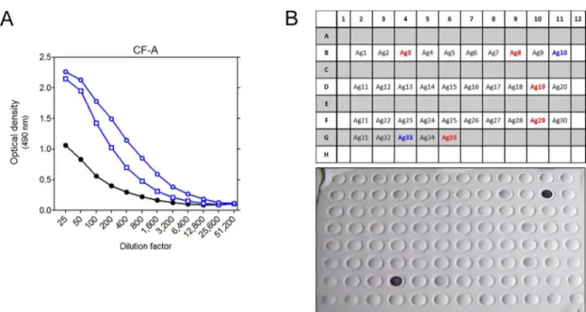 Fig 5. A: IgG antibodies against M. avium culture filtrate in serial dilutions of pooled sera of BALB/c mice infected for 20 weeks with porcine (blue circles) or human (blue squares) Mah MST12 isolate (pooled sera from naïve mice represented by black dots)
