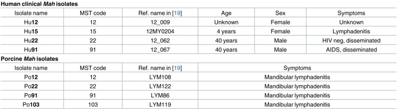 Table 1. List of the porcine and human M. avium subsp. hominissuis isolates used in this study.