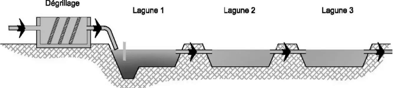 Figure N°07 :   Principe du lagunage naturel 