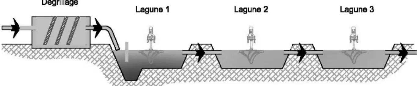 Figure N°11 :   Principe de la filière lagunage aéré 