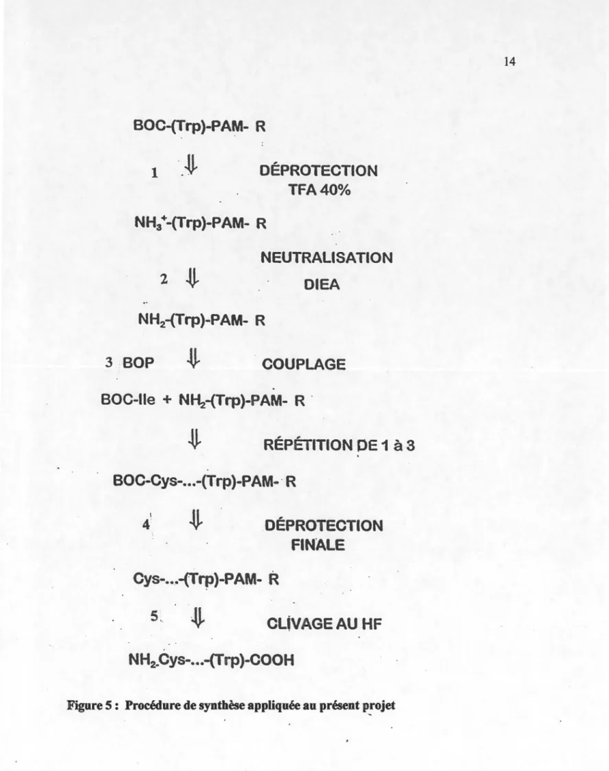 Figure 5 :  Procédure de synthèse appliquée au présent p!"ojet 