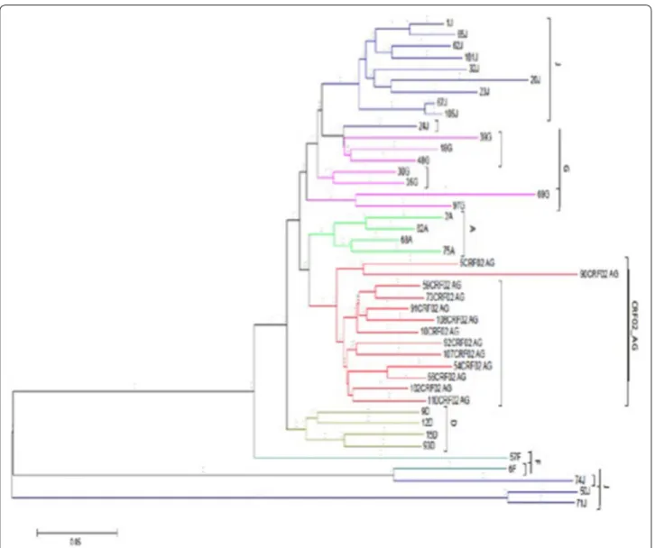 Fig. 4  Phylogenetic tree. The evolutionary history was inferred using the Neighbor‑Joining method in the protease‑reverse transcriptase regions  (Saitou and Nei [20])