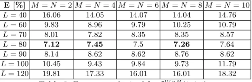 Table 2. Error rates obtained for G W ×H (i, j, t).