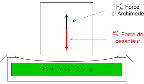 Figure 6 : Bilan des forces agissant sur une balance. 