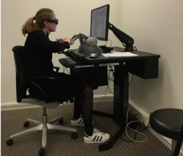 Figure 1. VOXEL-MAN Tempo’s practical setting for training sessions
