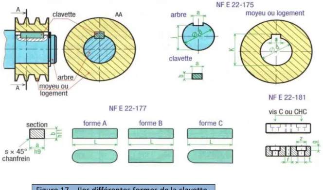 Figure 17 – (les différentes formes de la clavette. 