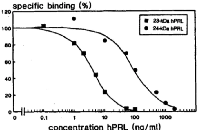 Fig.  4.  Competitive binding curves of 23-kDa lUI-hPRL (tracer)  and dabelled 23-kDa and 24-kDa hPRL (competitor)