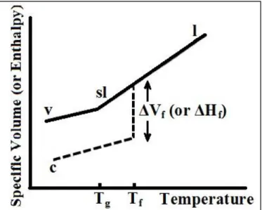 Figure 1-2. Variation of the specific volume with temperature. Adapted from (ZARZYCKI,  1982)