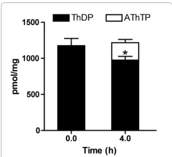 Figure 9 AThTP is formed from ThDP. The bacteria were incubated  in minimal M9 medium and thiamine derivatives were determined at  zero time and after incubation for 4 h