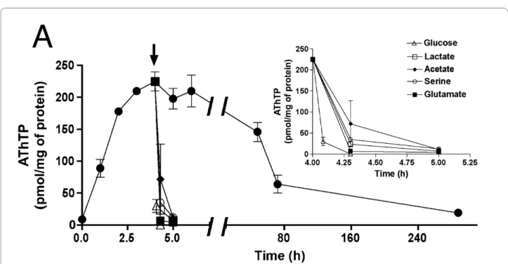 Figure 1 AThTP levels as a function of time in BL21 cells transferred to minimal medium