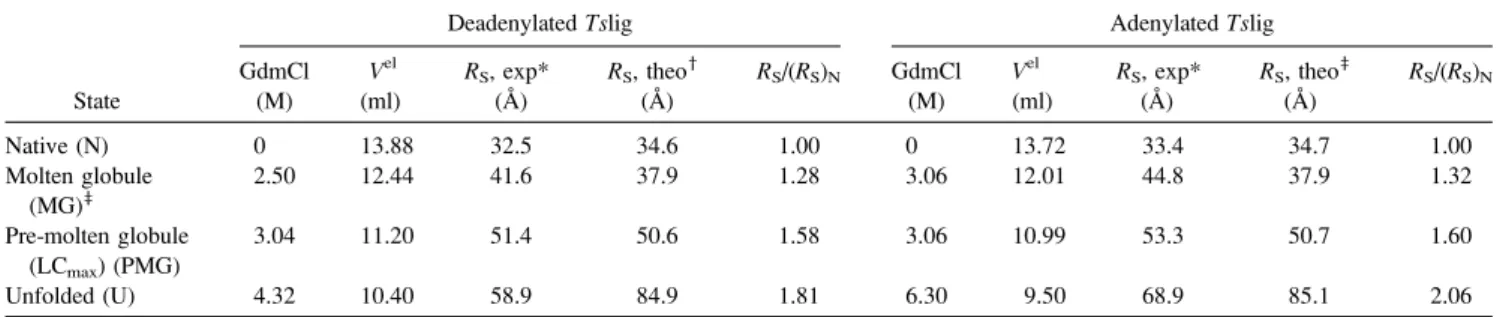 TABLE 3 Molecular dimensions of deadenylated and adenylated Tslig in different conformational states