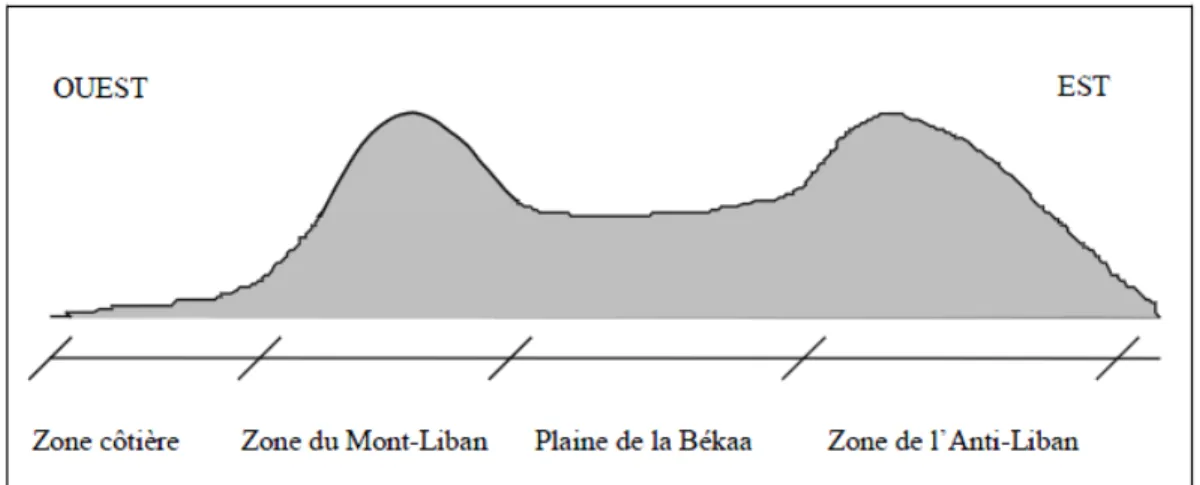 Figure 5 – Coupe schématique du Liban selon un axe EstCOuest  [AC16]