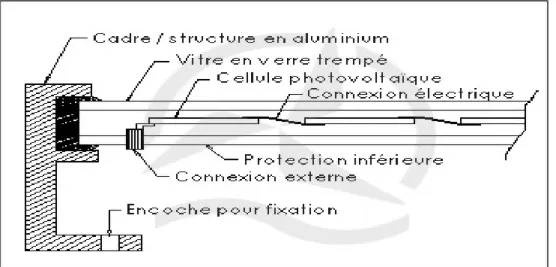Figure 8 – Coupe d’un panneau photovoltaïque 