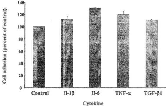 Figure 2: Effect of cytokines on endometrial cell adhesion to the peritoneum. Different cytokines (1 nM) were  added on the peritoneum, simultaneously with endometrial cells, and incubated for 24 hours