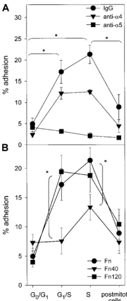Figure 3. Fn binding of synchronized CD34 ⴙ cells via ␣4 and ␣5 integrins.