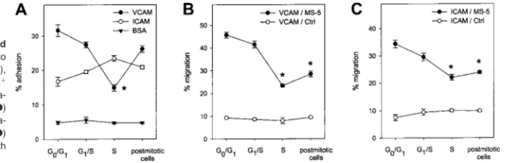 Figure 7. Adhesion and migration of synchronized CD34 ⴙ cells on VCAM-1 and ICAM-1. (A) Adhesion to plates adsorbed with VCAM-1 (n ⫽ 6), ICAM-1 (n ⫽ 3), or BSA (n ⫽ 3) was determined in synchronized CD34 ⫹ cells at indicated stages of the cell cycle