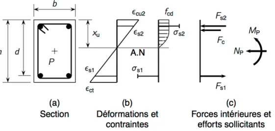 Fig. 3.3 — Déformations relatives, contraintes et efforts pour une section rectangulaire telle que ✏ c  ✏ cu2