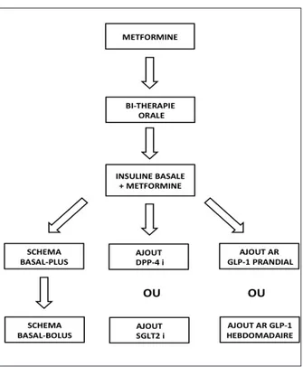 Figure 1. Illustration des diverses possibilités pharmacologiques pour opti- opti-miser un traitement par insuline basale chez le patient diabétique de type  2