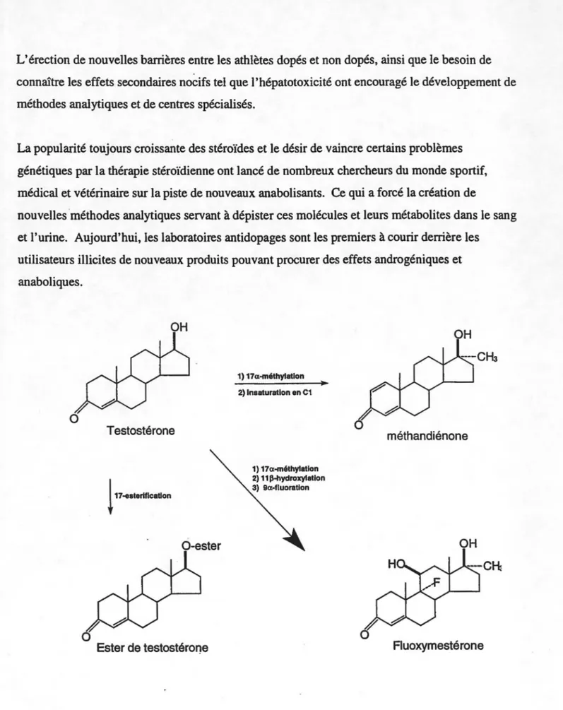 Figure  1 :  Exemples de quelques  d~rivés  synthétiques de la testostérone. 