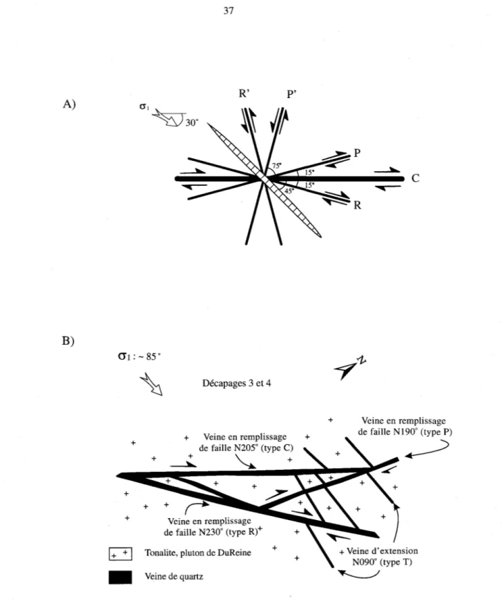 Figure  2.11.  Comparaison  du  réseau de fracturation  théorique d'une zone de cisaillement dextre  avec les diverses familles de veines du décapage  #  3,  gîte de DuReine