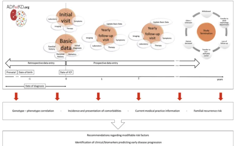 Figure 1. ADPedKD study design. ICF, informed consent form.