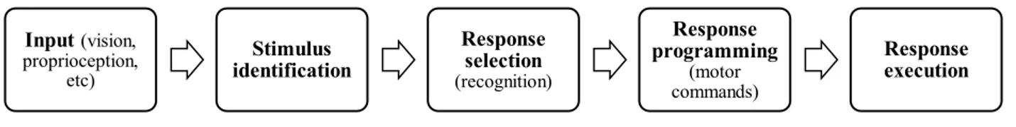 Figure 1 - Information processing model (Adapted from Schmidt et al., 2018). 