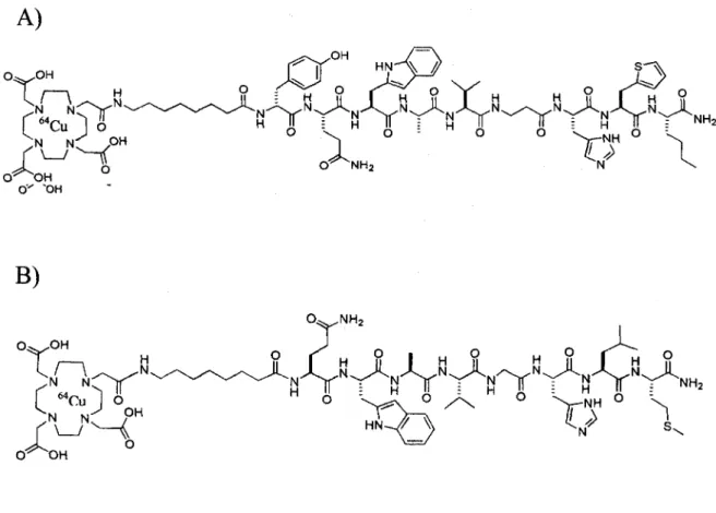 Figure 1: Schematic structures of BBN analogues A) 64cu-DOTA-Aoc-[D-