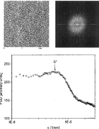 Fig. 2 10x10 μm 2 scanning force microscopy (SFM) image together with the corresponding two-dimensional fast Fourier transform and power spectral density (PSD)