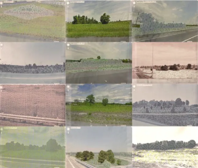 Figure 1.  Roadside; 1 - 12 , digital collages, 2014 
