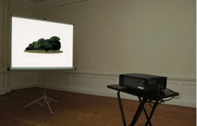 Figure 13. Marion Coutts,  Everglade , video projection, 2003 