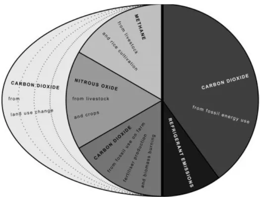 Figure 2.1 Impacts de la chaîne alimentaire et distribution des différents gaz (tiré de : Garnett, 2011)  Au  sein  du système  alimentaire,  80  %  des  émissions  sont liées  à  l’élevage  d’animaux  (en  utilisant une  proportion conservatrice des émiss