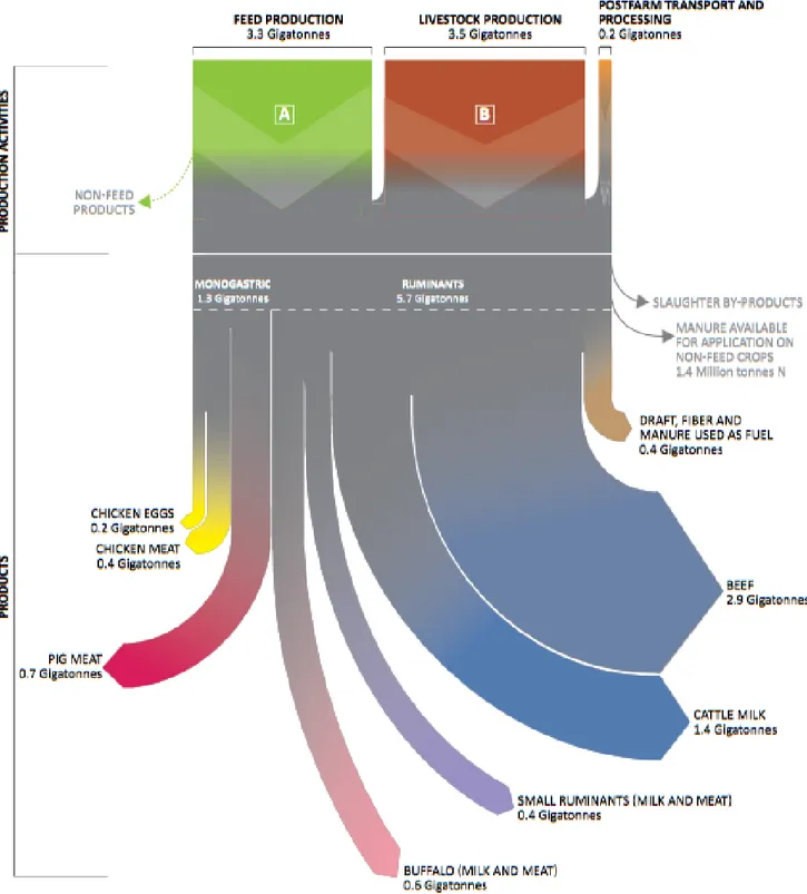 Figure 2.3 Émissions de GES globales de de la chaîne de production de l’élevage, par activité de        production et type de produit (tiré de : Gerber et al., 2013) 