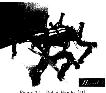 Figure  2.1  R obot  H am let  [11]