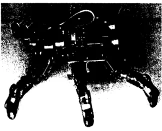 Figure  2.13  R obot  D L R -C ra w le r  6