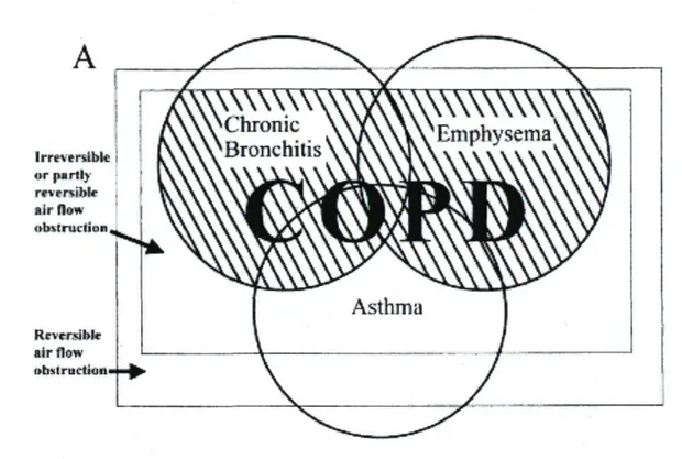 Figure A - Venn diagrams depicting the subsets of disease that compose chronic obstructive  pulmonary disease (COPD) and the relationships between them