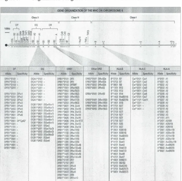 Figure 5.  OPA1'0101   -D?A1'0Hl2 •  O?A1 '0100 •   Dl'A1'02M.-Of'S1 'Q1ll1  Ol'w1  01'$1'010t Ol'w1  OPS1'02()2  DPw2  O?Sl '03&amp;1  D?w3  Ol'Sl '0401  OPW4  ôP!!l'041l2  Of'v.4  Of'SI 'OOOJ  O?w!$ 