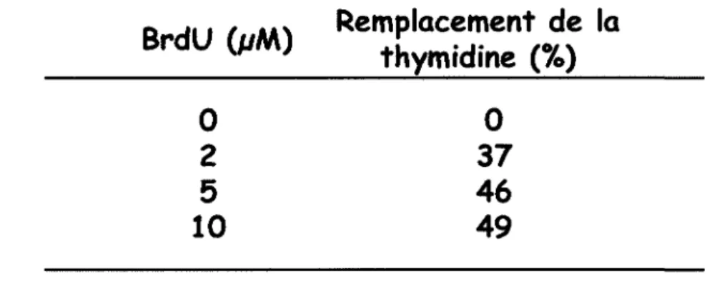 Tableau  2: Taux de remplacement de la thymidine par le BrdU. 