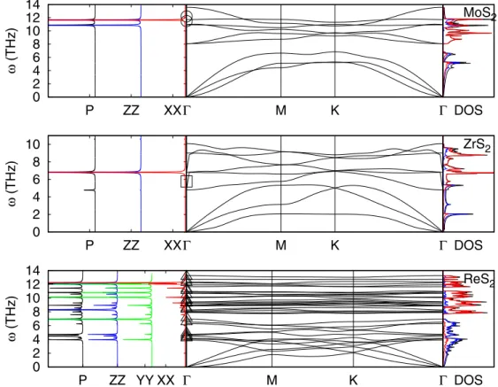 FIG. 4. Raman spectra, phonon band structure, and phonon density of states of the example materials