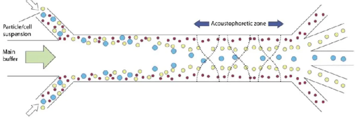 Figure 2.8  Schématisation de la séparation de particules dans un fluide [19] 