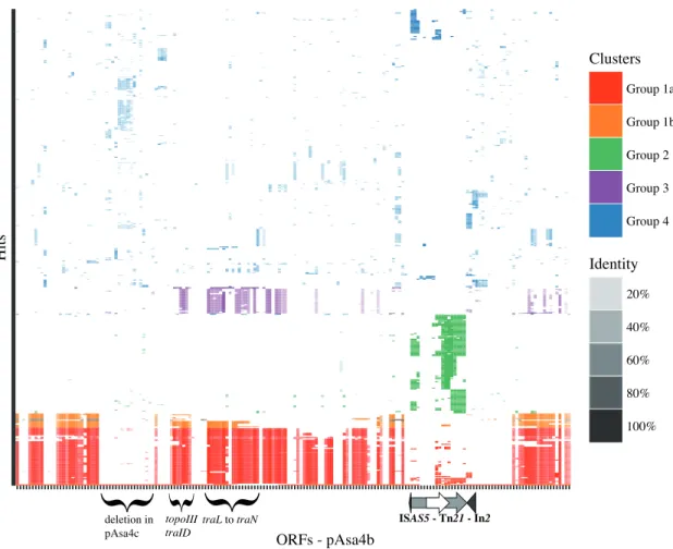 Figure  2.3  Clustering  tBlastn  results  for  pAsa4b.  The  shading  denotes  the  maximum  identity between the ORF query and the target